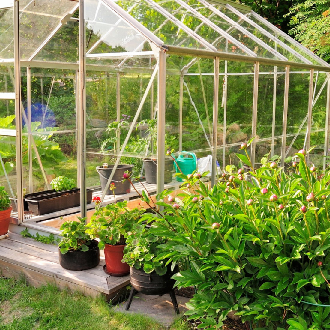 Benefits of Growing Your Own Food