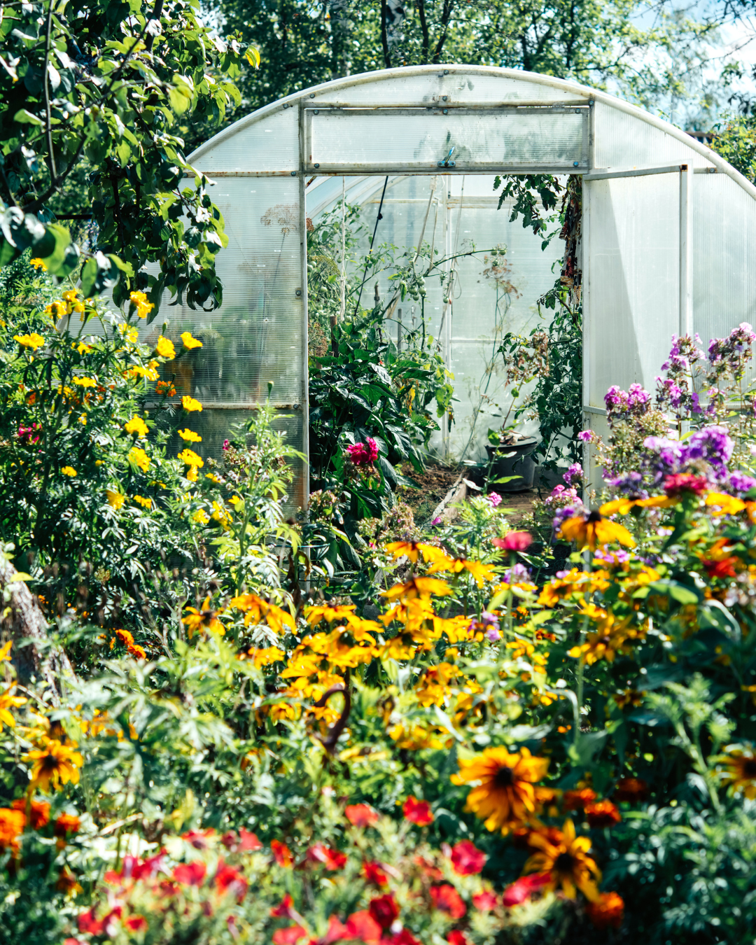 Choosing the Right Greenhouse
